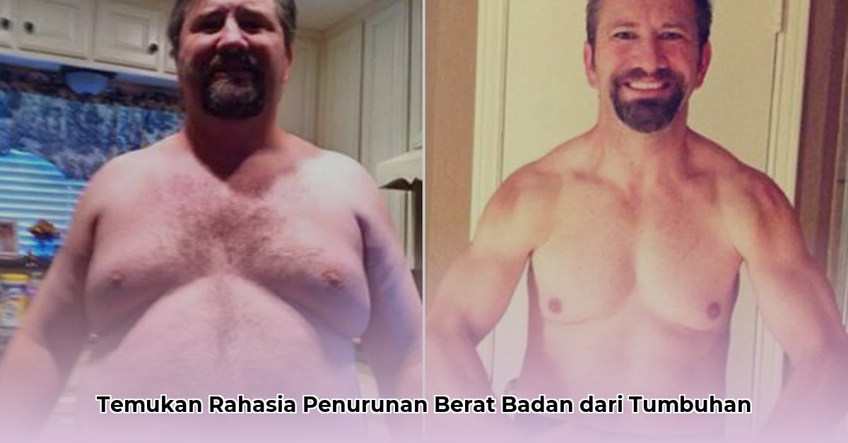 dr edward walker weight loss